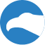 CityFALCON AI