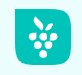 Berrycast