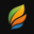 Hair Filter