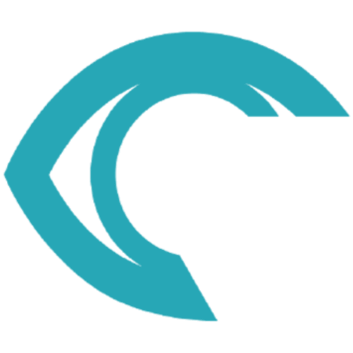 RSIP Vision