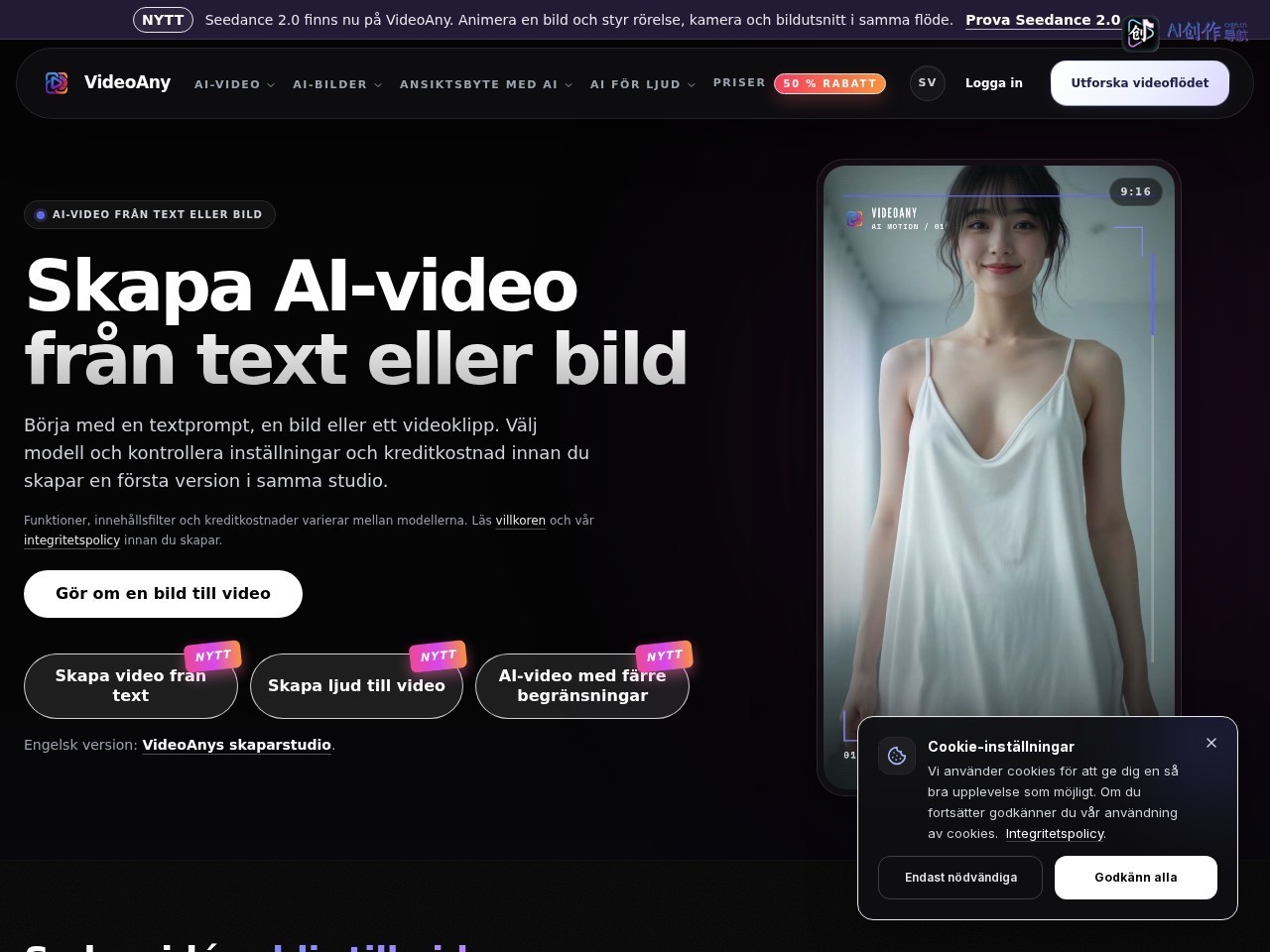 VideoAny 网站截图