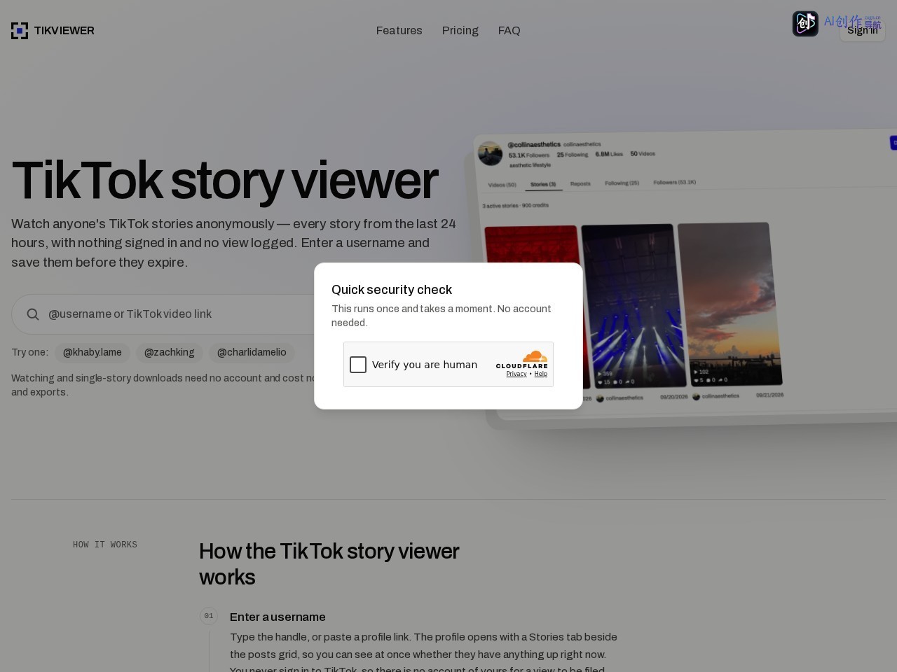 TikViewer 网站截图